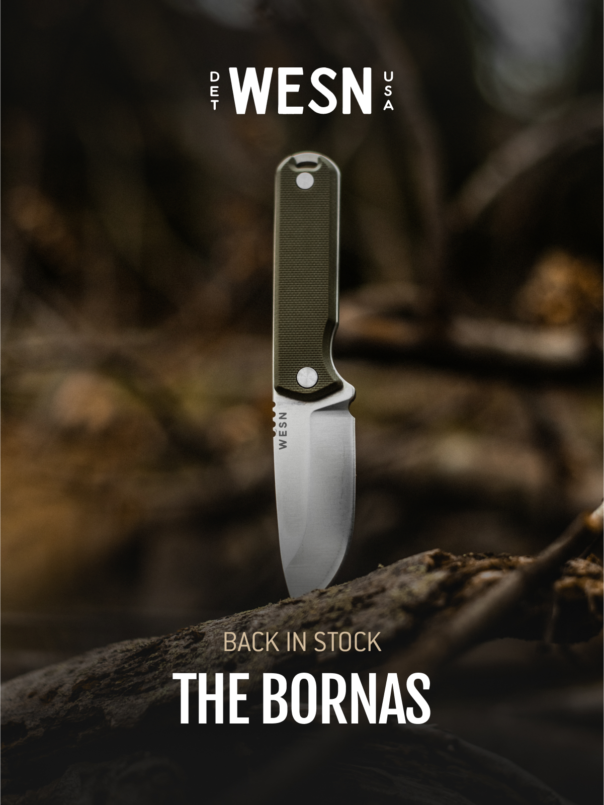 The Bornas Back in Stock