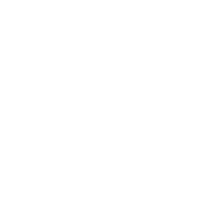 Skallywag Tactical